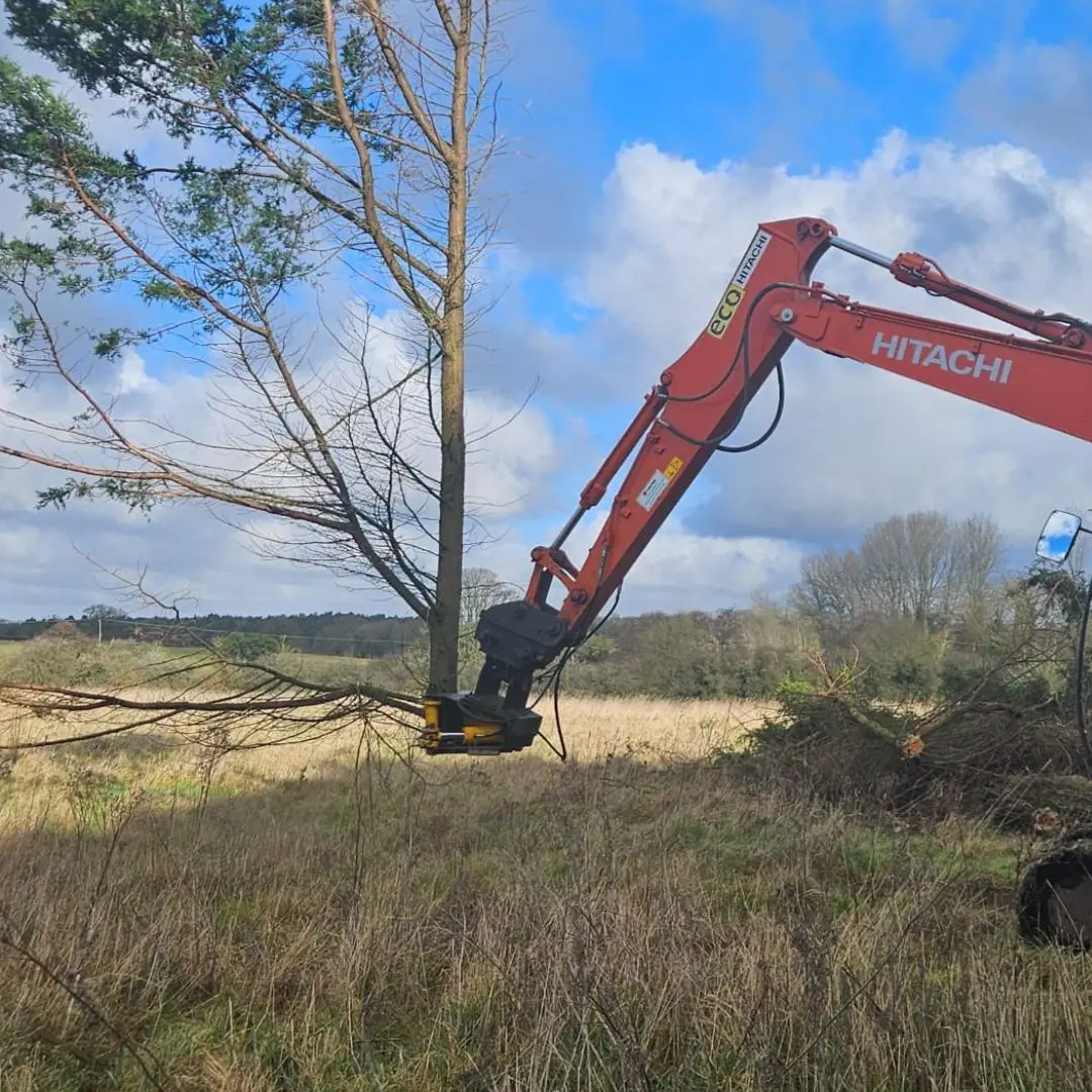 excavator-mounted tree shears